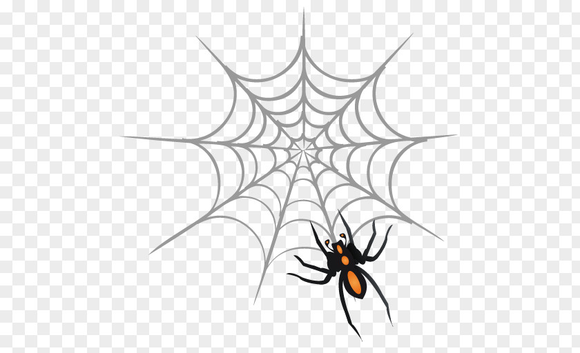 Spin Fishing Spider Web Drawing PNG