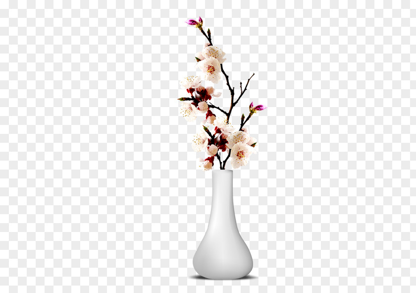 Vase Plum Blossom Flower Download PNG