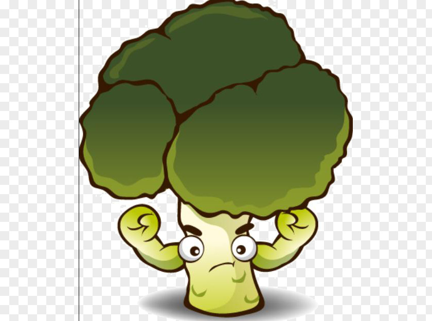Cartoon Cabbage Broccoli Vegetable PNG