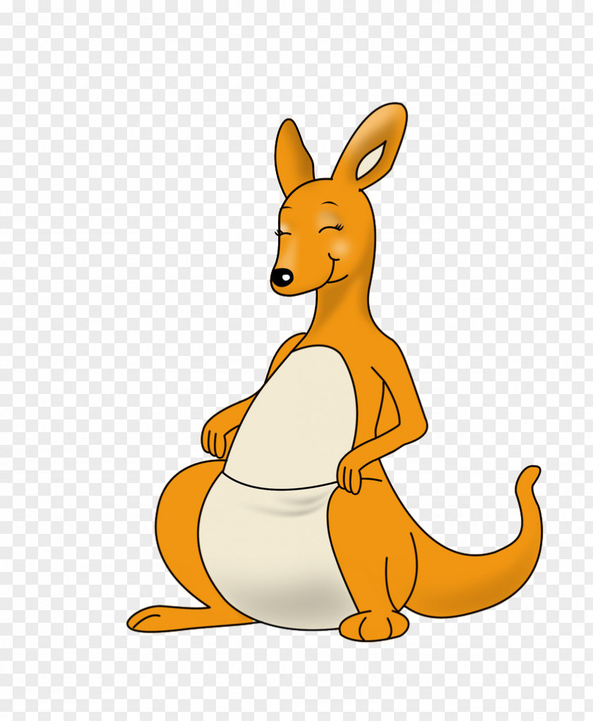 Cartoon Kangaroo Animation Clip Art PNG