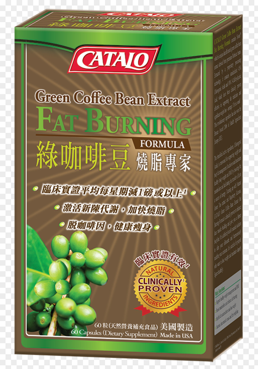 Coffee Bean Green Extract CATALO Food PNG