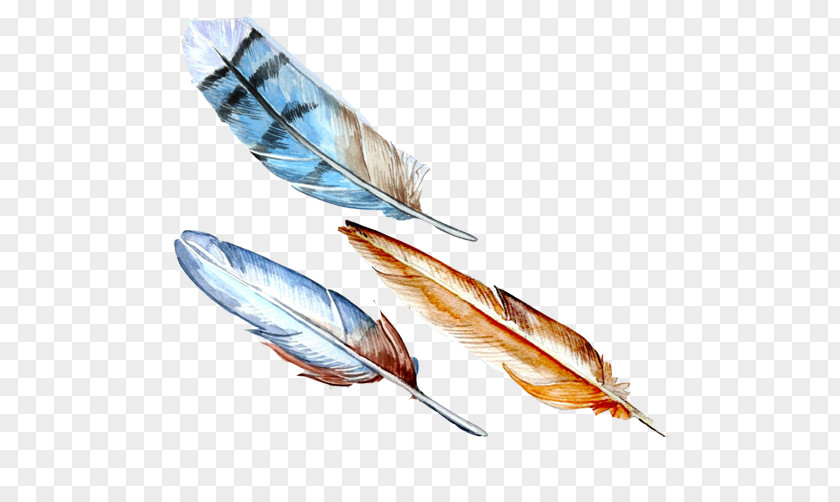 Feather Watercolor Picture Material Bird Painting PNG