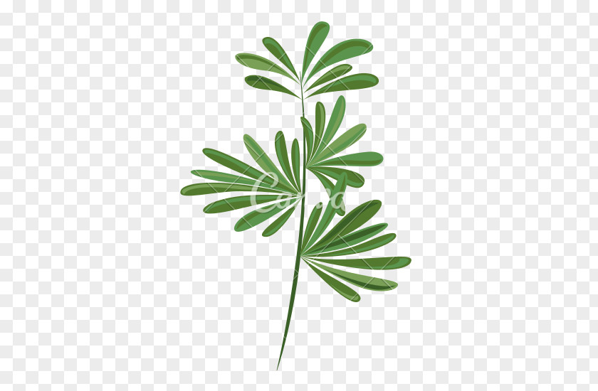 Greenery Leaf Plant Stem Branch Poster Printmaking PNG