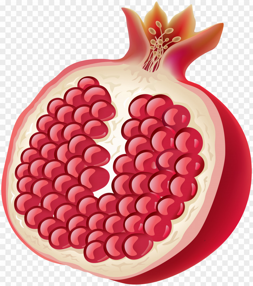 Half Pomegranate Clip Art Image Fruit Orange Slice PNG