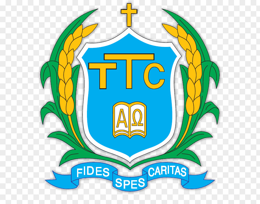 Shatin Tsung Tsin Secondary School College Christian Academy National PNG