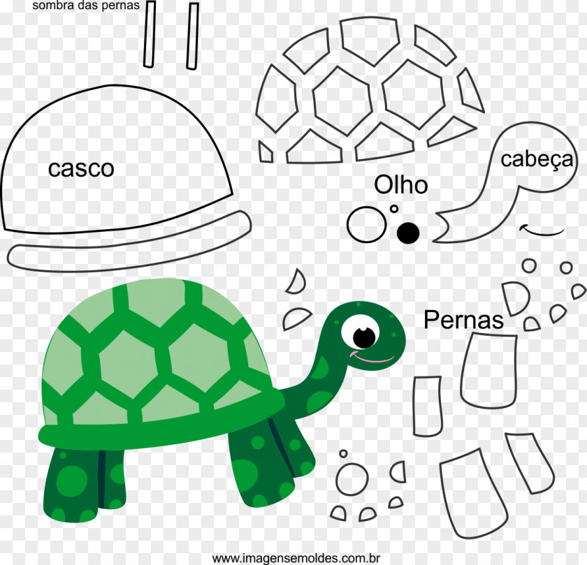 Turtle Tortoise Sea Molde Drawing PNG