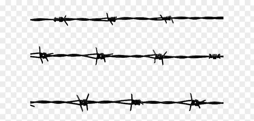 Barbed Wire PNG