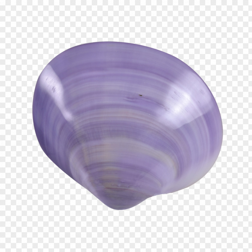 Clams Lavender Lilac Purple Violet Cobalt Blue PNG