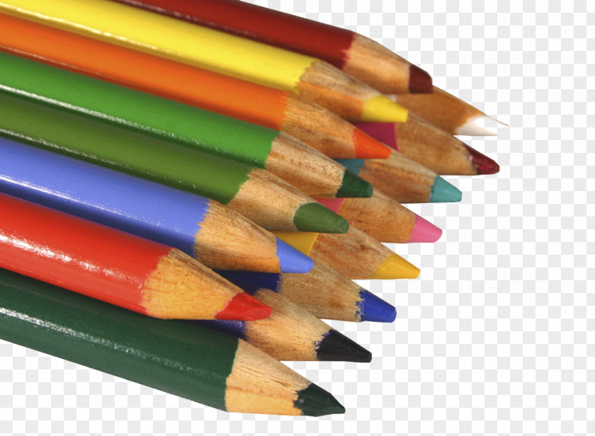 Colorful Pencil Visual Arts Artist Drawing Colored PNG