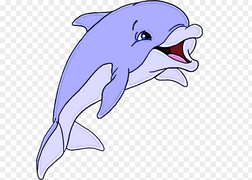 Dolphin Bottlenose Short-beaked Common Cetacea Fin PNG