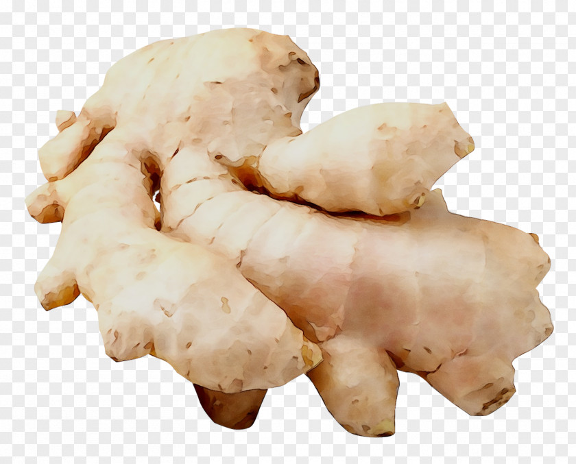 Ginger Root Vegetables Tuber China PNG