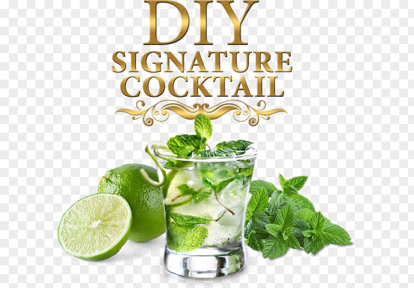 Mojito Cocktail Daiquiri Rum Highball PNG