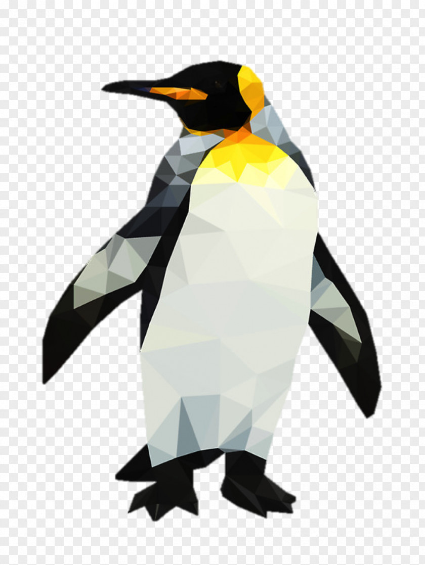 Zoology Map King Penguin Beak PNG