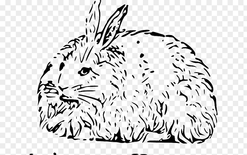 Cartoon Green Rabbit Skin Hare Angora Domestic Easter Bunny PNG