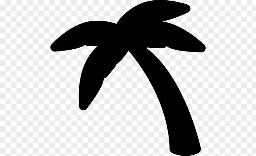 Coconut Arecaceae Tree PNG