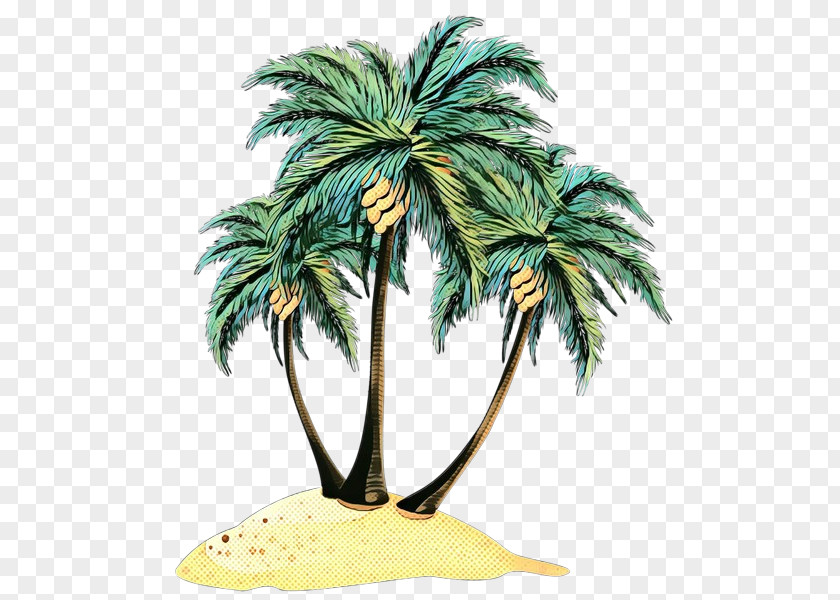 Elaeis Tropics Palm Tree PNG