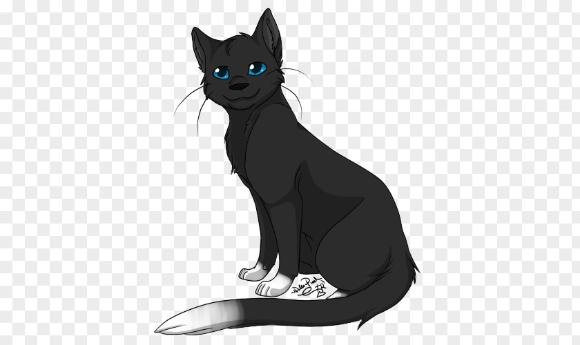 Kitten Black Cat Whiskers Domestic Short-haired PNG
