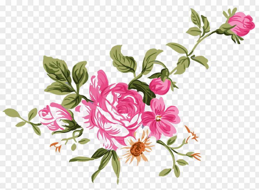 Roses Cluster Peony Clip Art PNG