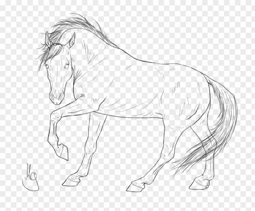 Arabian Horse Mane Halter Mustang Stallion Rein PNG