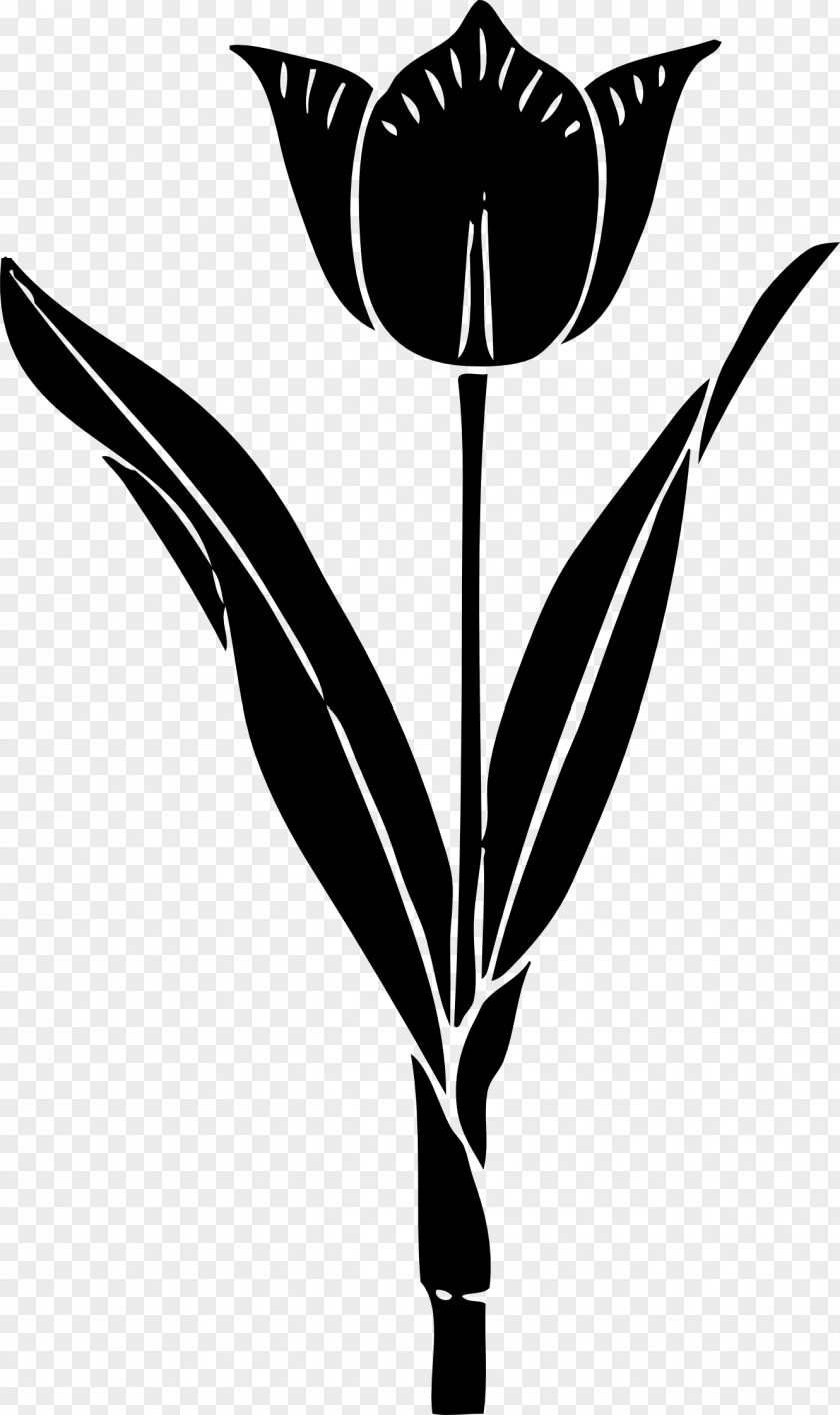 Black And White Flower Silhouette Tulip Clip Art PNG