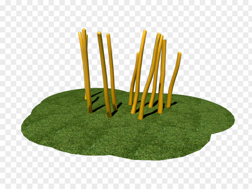 Children’s Playground Tree Grasses PNG