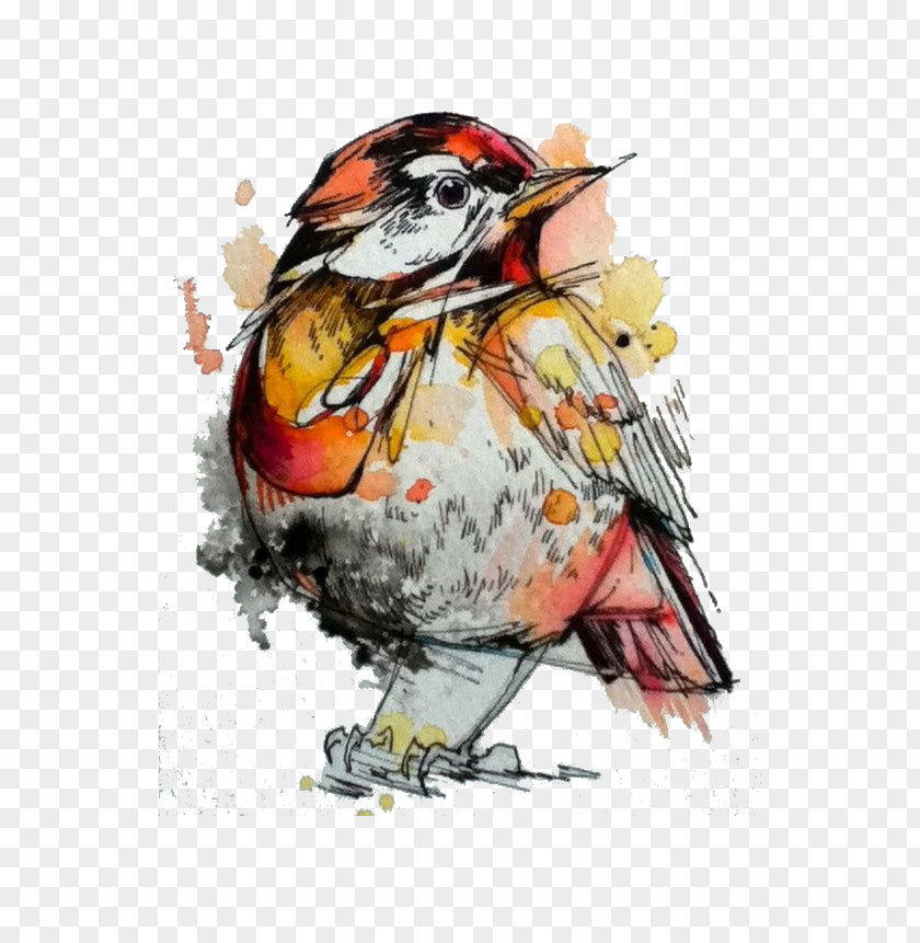 Colored Sparrow Watercolor Painting Drawing Artist PNG