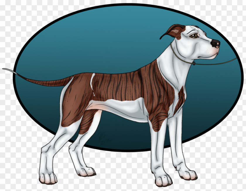 Conformation Show Dog Breed Italian Greyhound Whippet Art Non-sporting Group PNG