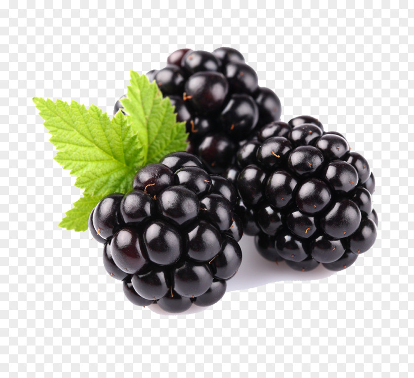Dewberry Boysenberry Berry Blackberry Fruit Rubus Plant PNG