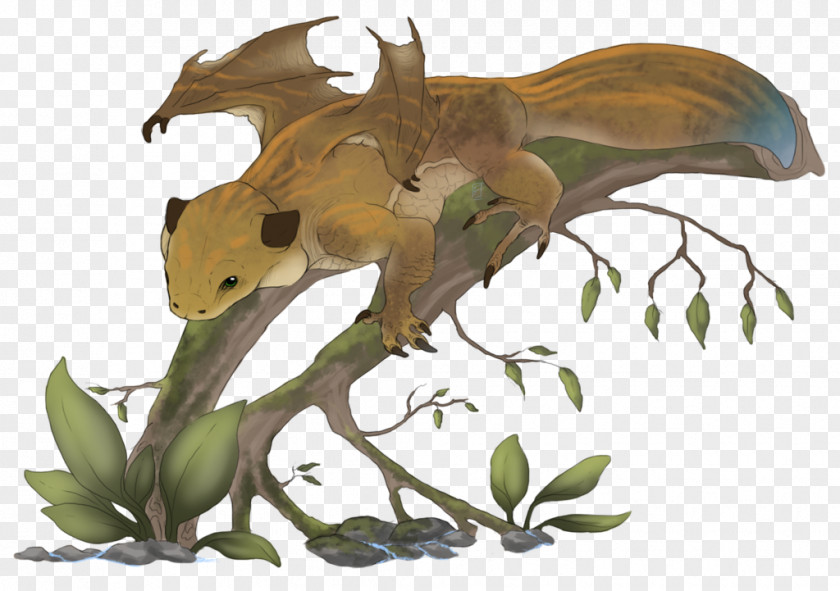 Dragon Wyvern Reptile Eidechse Forest PNG