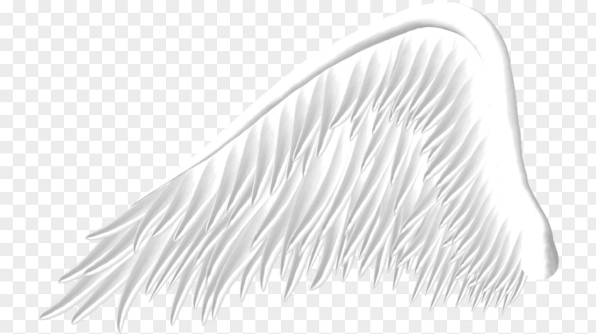 Great Wings Wing Clip Art PNG