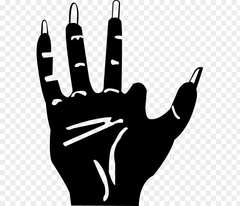 Hand Thumb Finger Digit Clip Art PNG