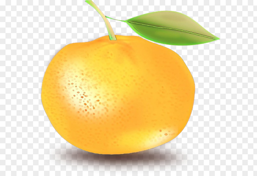 Pomelo Yuzu Lemon Juice PNG