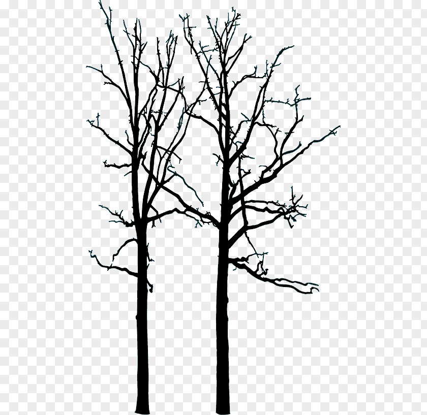 TWIG Hareskoven Tree Drawing PNG