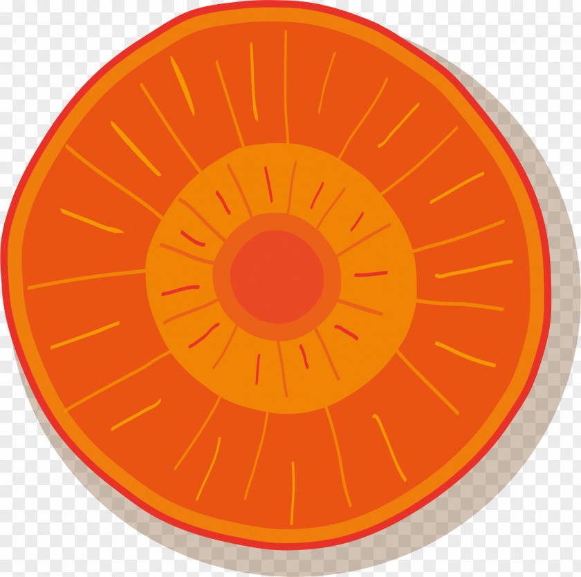 Vector Hand-painted Carrot Slices Adobe Illustrator PNG