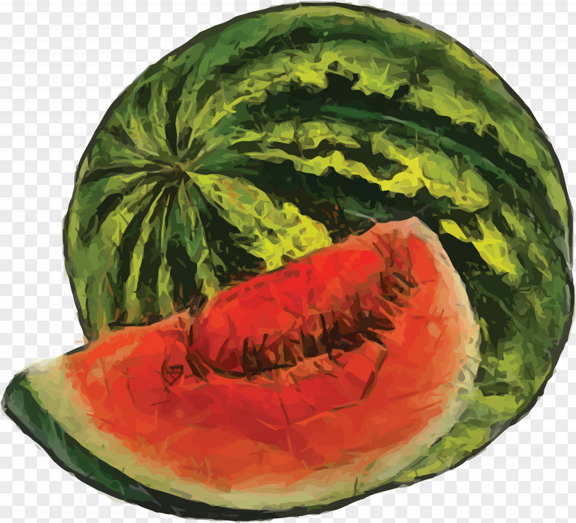 Watermelon Fruit Watercolor Painting PNG