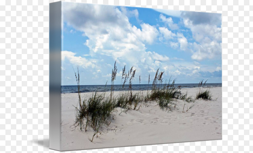 Wind Gallery Wrap Picture Frames Sand Canvas PNG