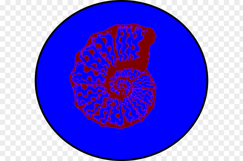 Circle Point Organism Clip Art PNG