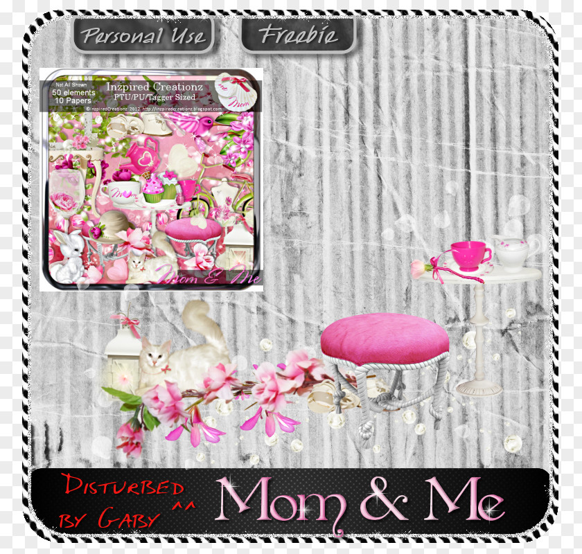 Design Picture Frames Pink M PNG