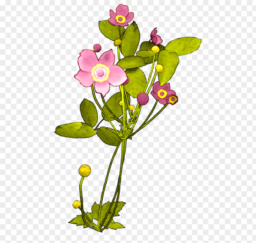 Flower Cut Flowers Floral Design Rose Petal PNG