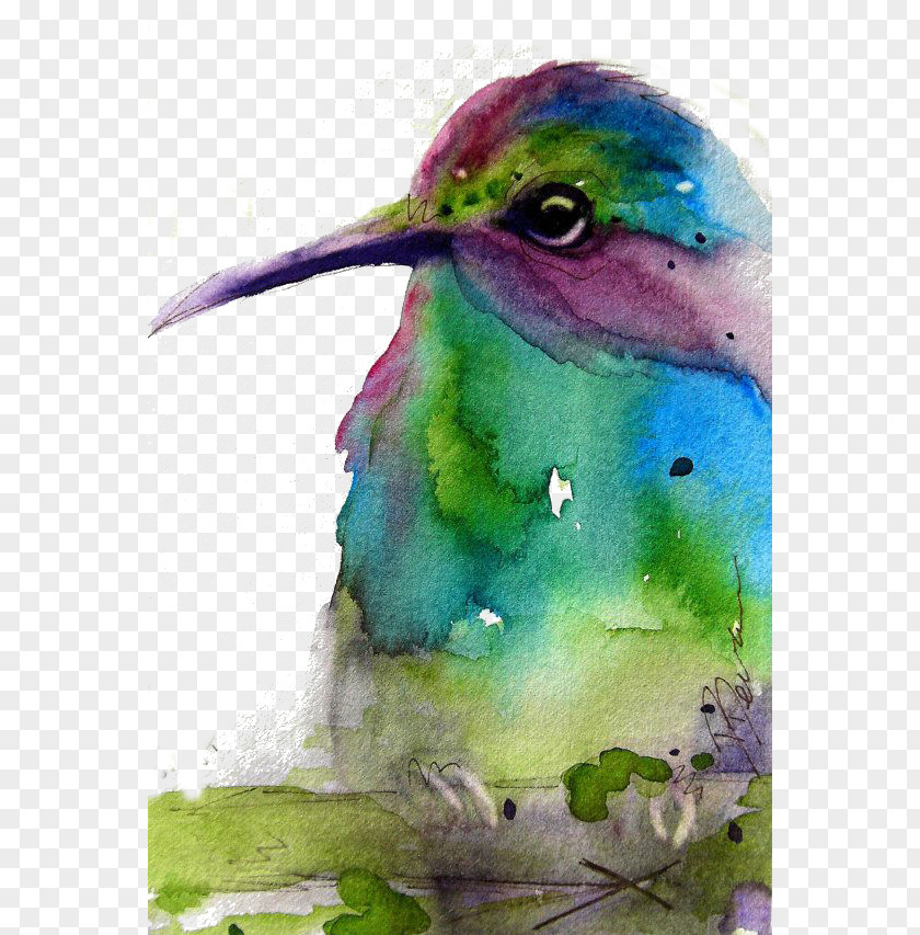 Green Birds Hummingbird Purple PNG