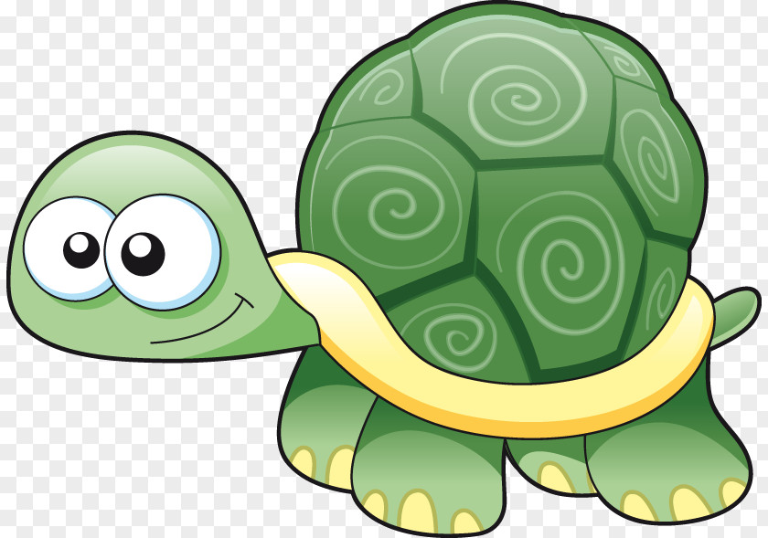 Hand-painted Cartoon Turtle Pattern Drawing PNG