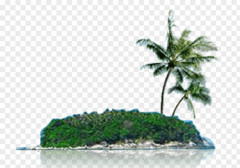 Island Clip Art Image Psd PNG