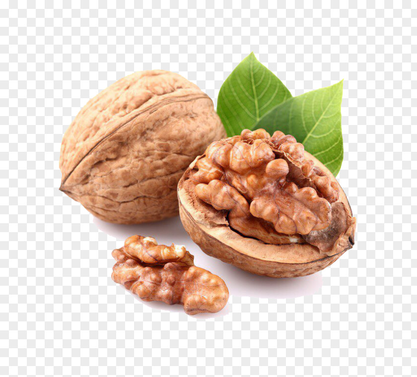Walnut English Nuts Oolong PNG