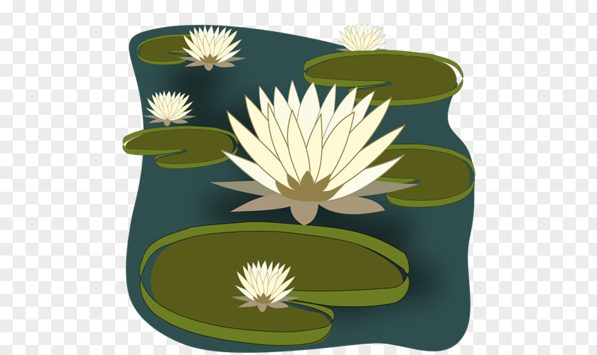 Water Crate Cliparts Easter Lily Nymphaea Alba Pond Clip Art PNG