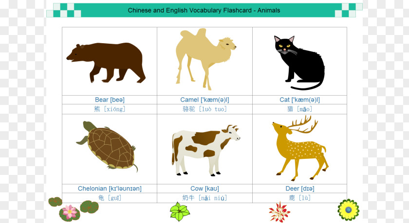 Animals Word Cliparts Flashcard Template Information Presentation Clip Art PNG