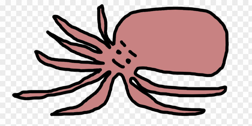 Common Octopus Typical Octopuses Clip Art Food PNG