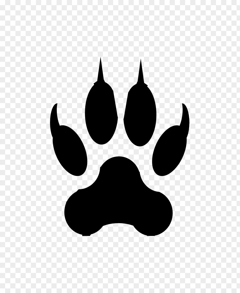 Footprint Vector Cat Dog Paw Claw Bear PNG