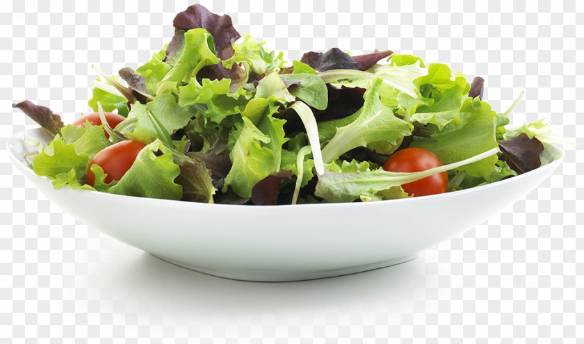 Salad Greek Bowl Lettuce Vegetable PNG