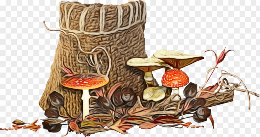 Tree Agaric Of Life PNG