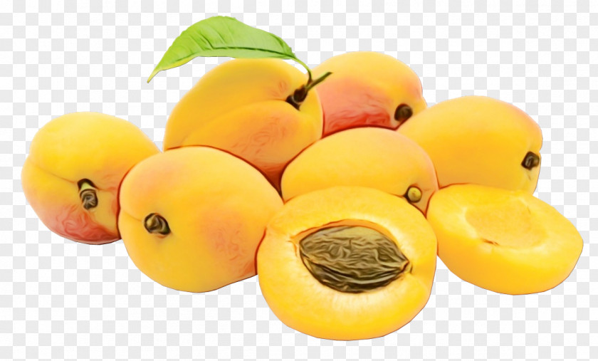 Yellow Plum Accessory Fruit Cartoon PNG